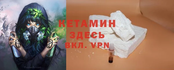 трава Аркадак