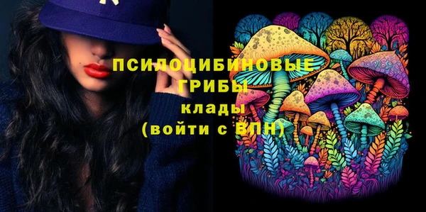 трава Аркадак